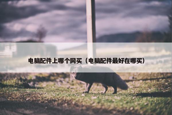 电脑配件上哪个网买（电脑配件最好在哪买）