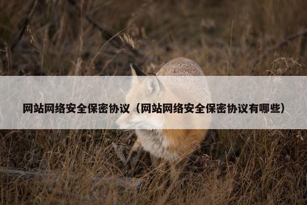 网站网络安全保密协议（网站网络安全保密协议有哪些）