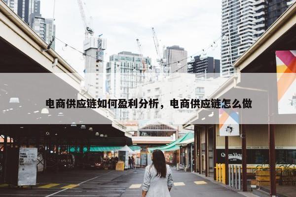 电商供应链如何盈利分析，电商供应链怎么做