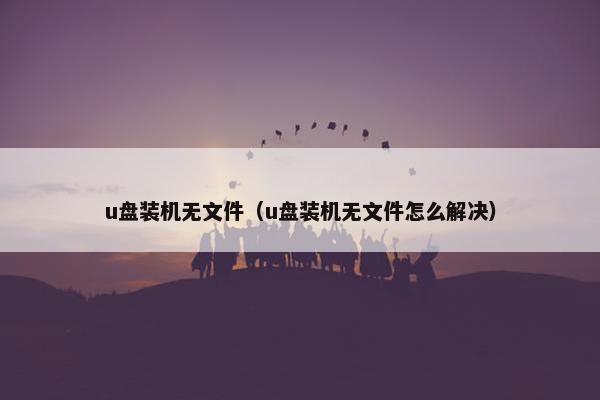 u盘装机无文件（u盘装机无文件怎么解决）