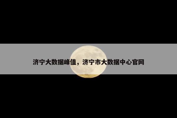 济宁大数据峰值，济宁市大数据中心官网