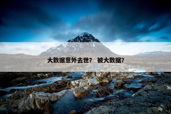 大数据意外去世？ 被大数据？