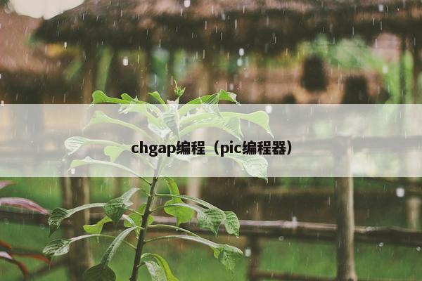 chgap编程（pic编程器）