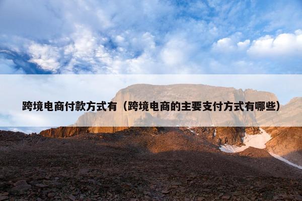 跨境电商付款方式有（跨境电商的主要支付方式有哪些）