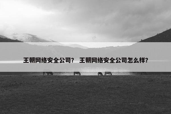 王朝网络安全公司？ 王朝网络安全公司怎么样？
