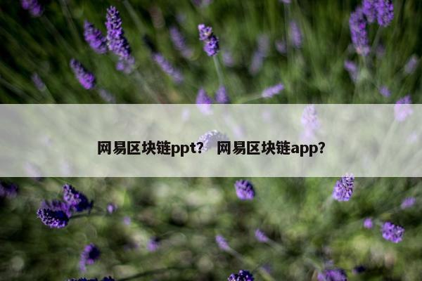 网易区块链ppt？ 网易区块链app？