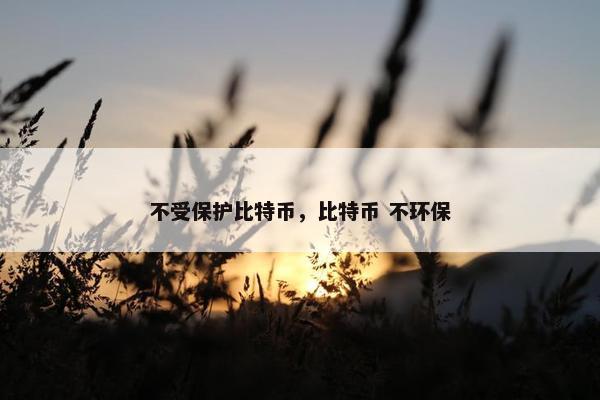 不受保护比特币，比特币 不环保