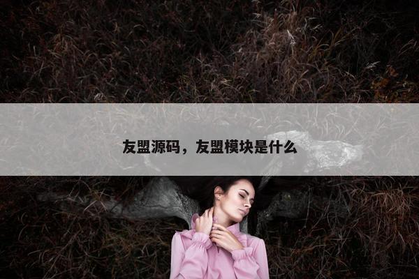 友盟源码，友盟模块是什么