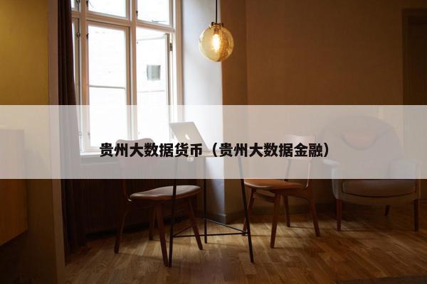 贵州大数据货币（贵州大数据金融）