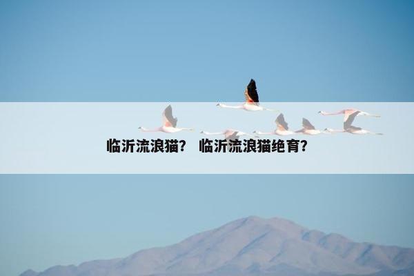 临沂流浪猫？ 临沂流浪猫绝育？