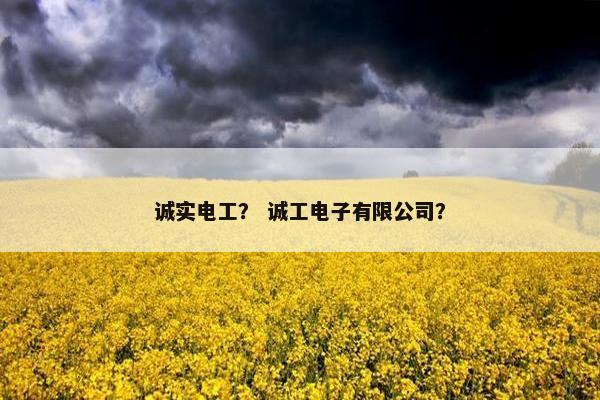 诚实电工？ 诚工电子有限公司？