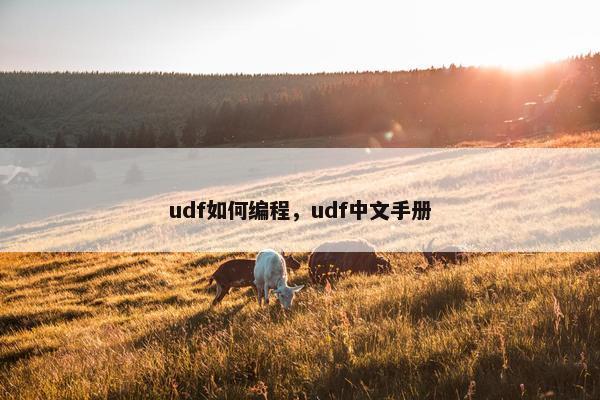 udf如何编程，udf中文手册