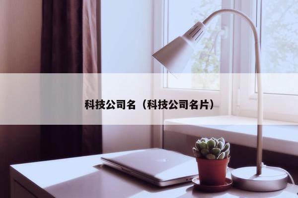 科技公司名（科技公司名片）