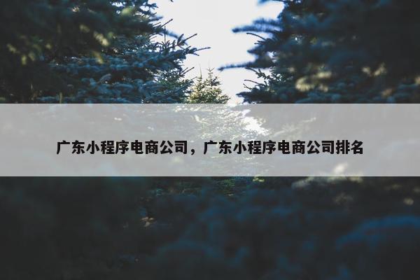 广东小程序电商公司，广东小程序电商公司排名
