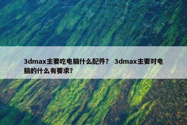 3dmax主要吃电脑什么配件？ 3dmax主要对电脑的什么有要求？