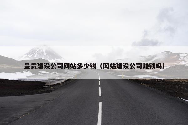 呈贡建设公司网站多少钱（网站建设公司赚钱吗）