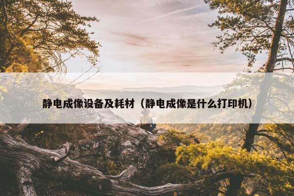 静电成像设备及耗材（静电成像是什么打印机）
