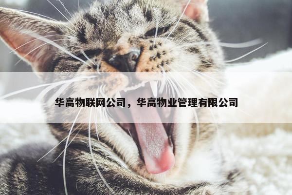 华高物联网公司，华高物业管理有限公司