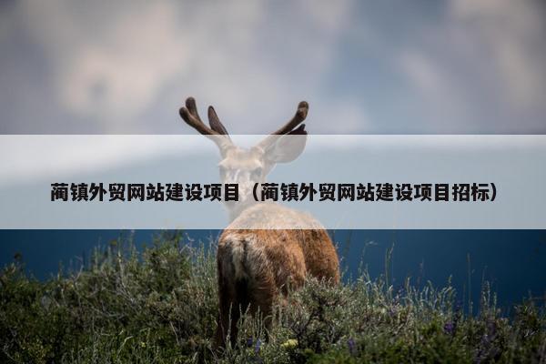蔺镇外贸网站建设项目（蔺镇外贸网站建设项目招标）