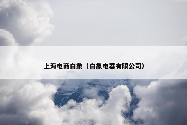 上海电商白象（白象电器有限公司）