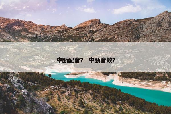 中断配音？ 中断音效？