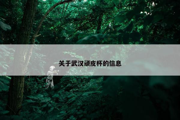 关于武汉顽皮杯的信息