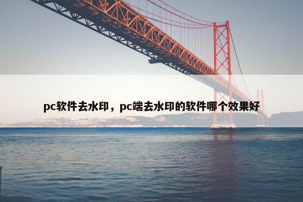 pc软件去水印，pc端去水印的软件哪个效果好