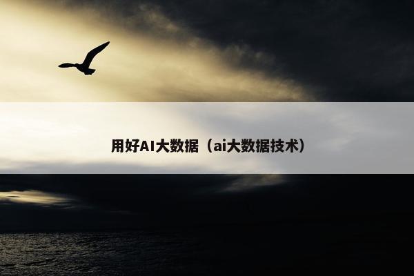 用好AI大数据（ai大数据技术）