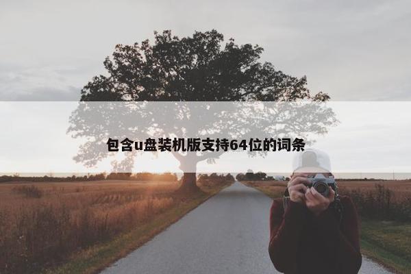包含u盘装机版支持64位的词条