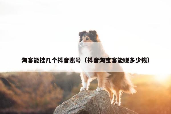 淘客能挂几个抖音账号（抖音淘宝客能赚多少钱）