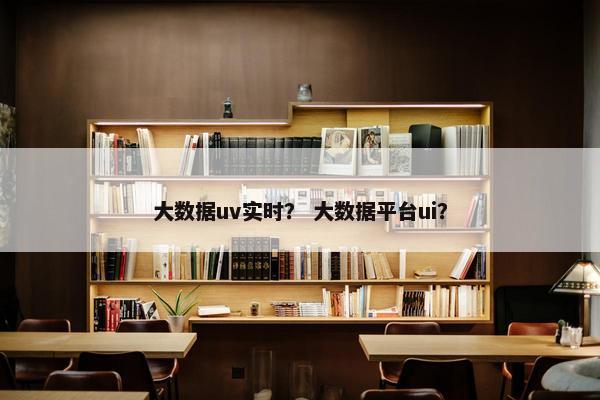 大数据uv实时？ 大数据平台ui？