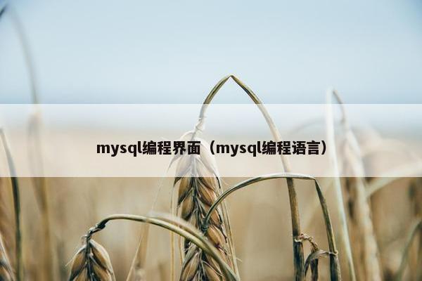mysql编程界面（mysql编程语言）