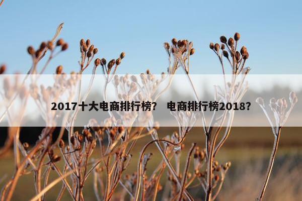 2017十大电商排行榜？ 电商排行榜2018？