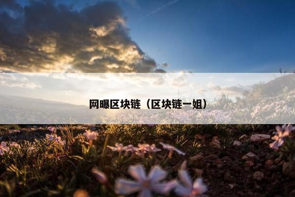 网曝区块链（区块链一姐）