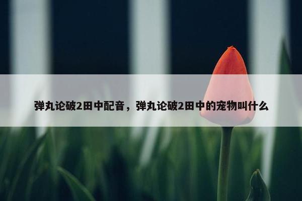 弹丸论破2田中配音，弹丸论破2田中的宠物叫什么