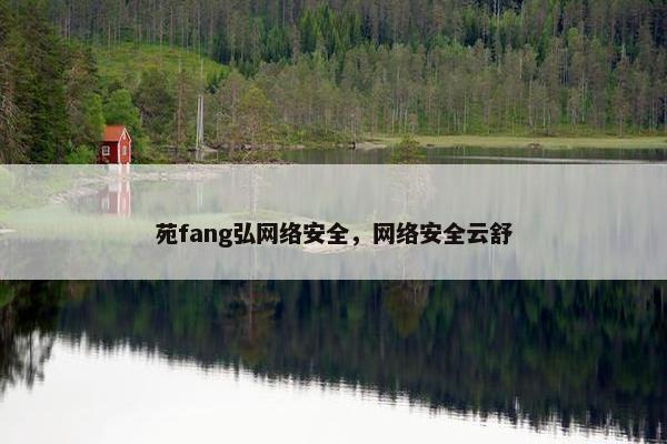 苑fang弘网络安全，网络安全云舒