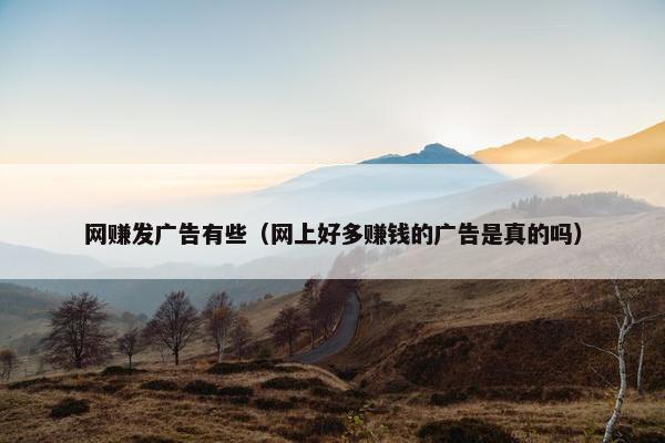 网赚发广告有些（网上好多赚钱的广告是真的吗）