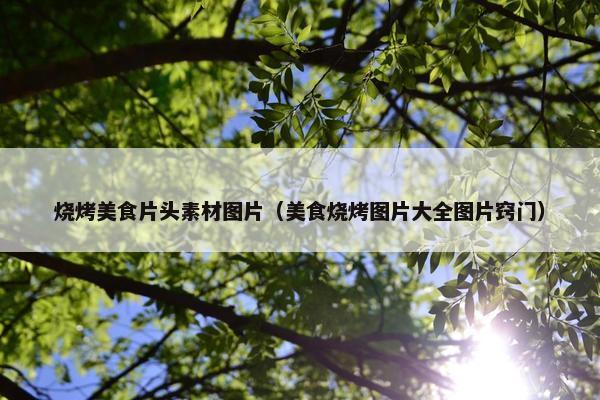 烧烤美食片头素材图片（美食烧烤图片大全图片窍门）