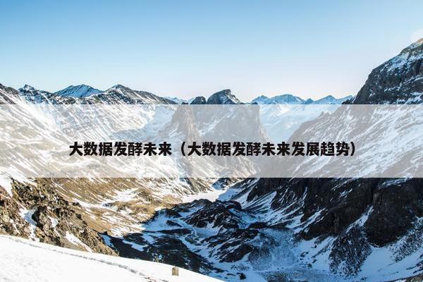大数据发酵未来（大数据发酵未来发展趋势）