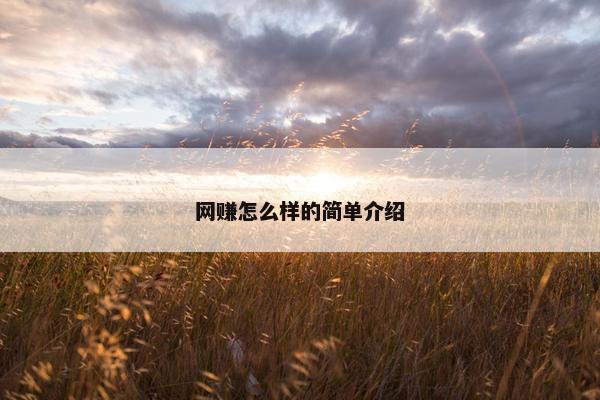 网赚怎么样的简单介绍