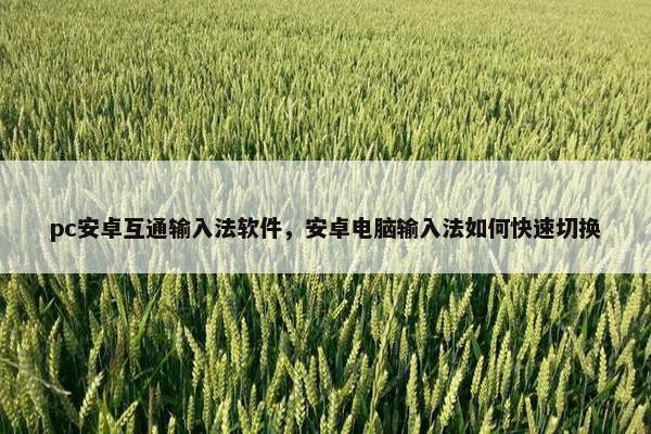 pc安卓互通输入法软件，安卓电脑输入法如何快速切换