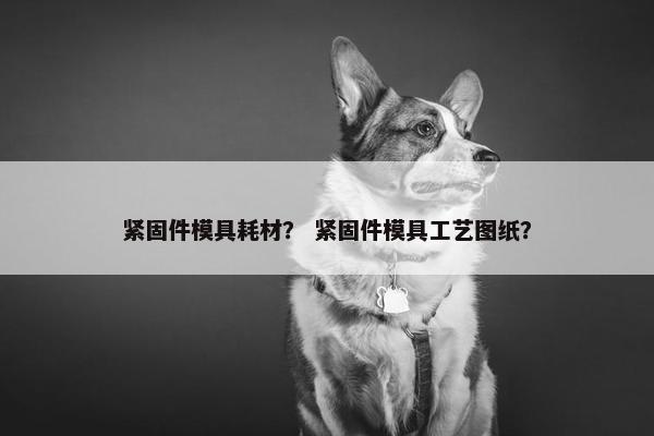 紧固件模具耗材？ 紧固件模具工艺图纸？