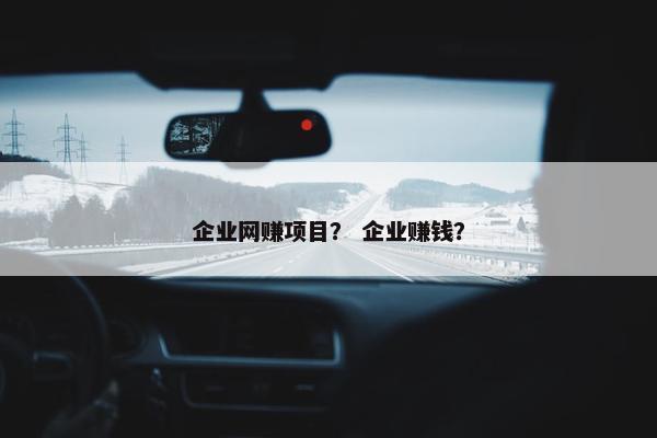 企业网赚项目？ 企业赚钱？
