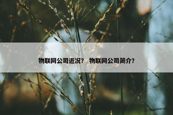 物联网公司近况？ 物联网公司简介？