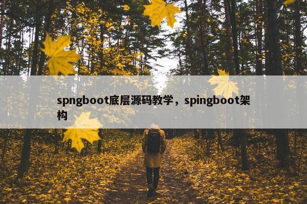 spngboot底层源码教学，spingboot架构