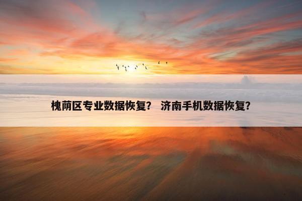 槐荫区专业数据恢复？ 济南手机数据恢复？