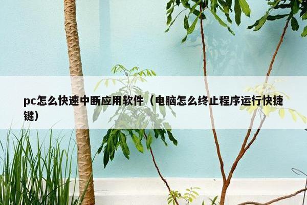 pc怎么快速中断应用软件（电脑怎么终止程序运行快捷键）