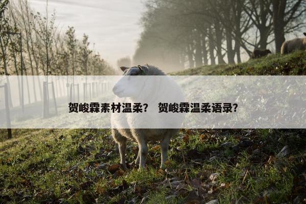 贺峻霖素材温柔？ 贺峻霖温柔语录？