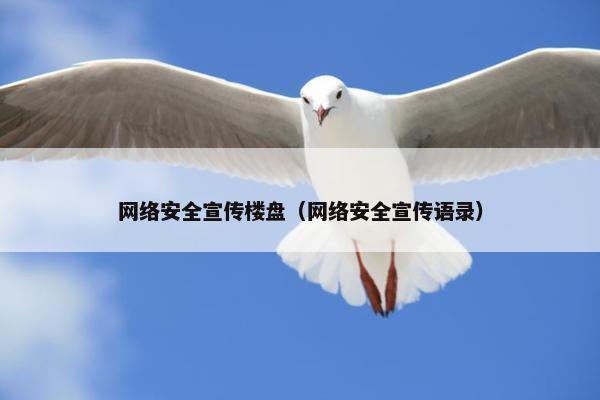 网络安全宣传楼盘（网络安全宣传语录）