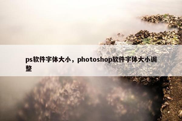 ps软件字体大小，photoshop软件字体大小调整